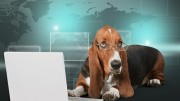 Can an old data dog teach data scientists new tricks?
